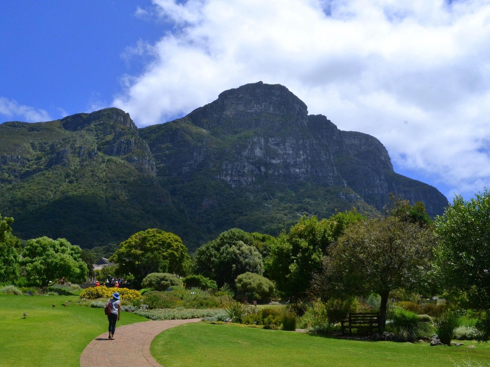 Lawns and fynbos beds at Kirstenbosch beneath the eastern face of Table Mountain