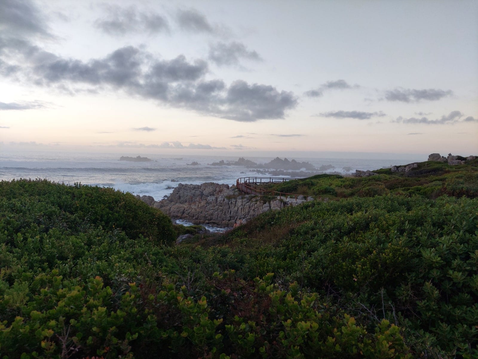 Fynbos-covered cliffs and clear water at De Kelders