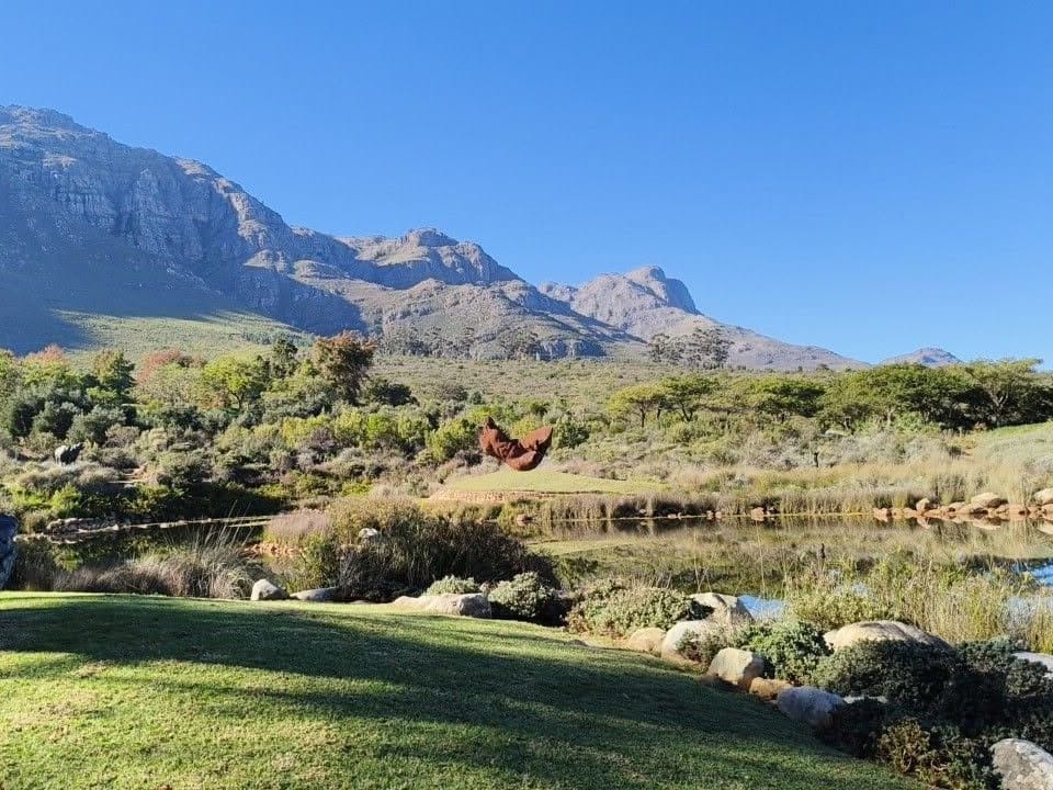 A bronze sculpture on the lawn of a Stellenbosch estate below the mountains