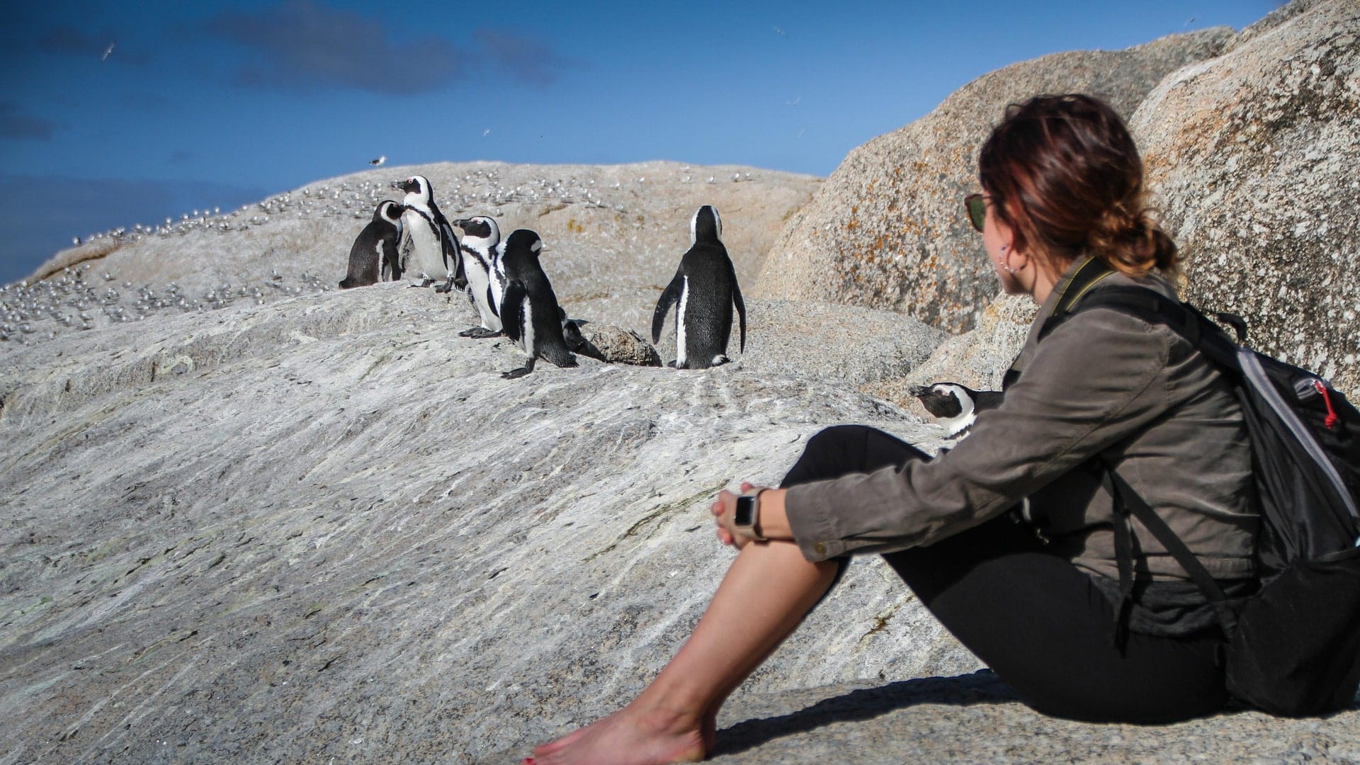 A visitor sitting on the granite watching African penguins a few feet away