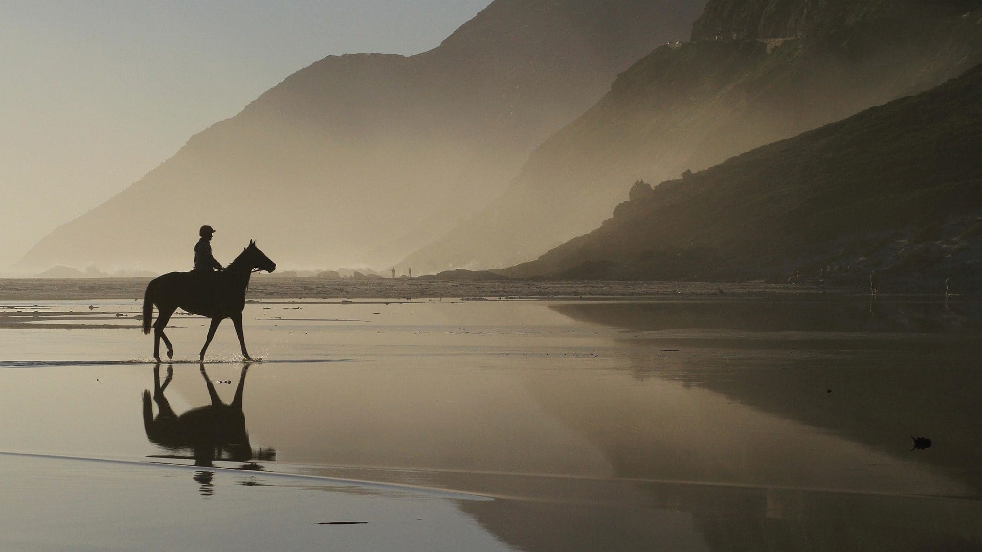 A lone rider walking a horse through shallow water on Noordhoek beach at dusk