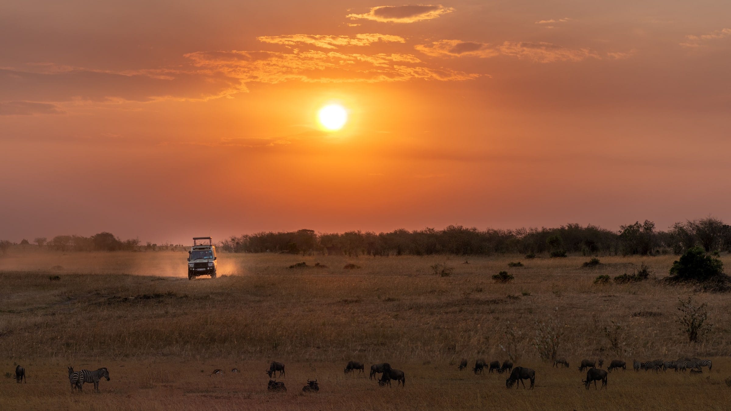 An open vehicle on a sandy track at first light