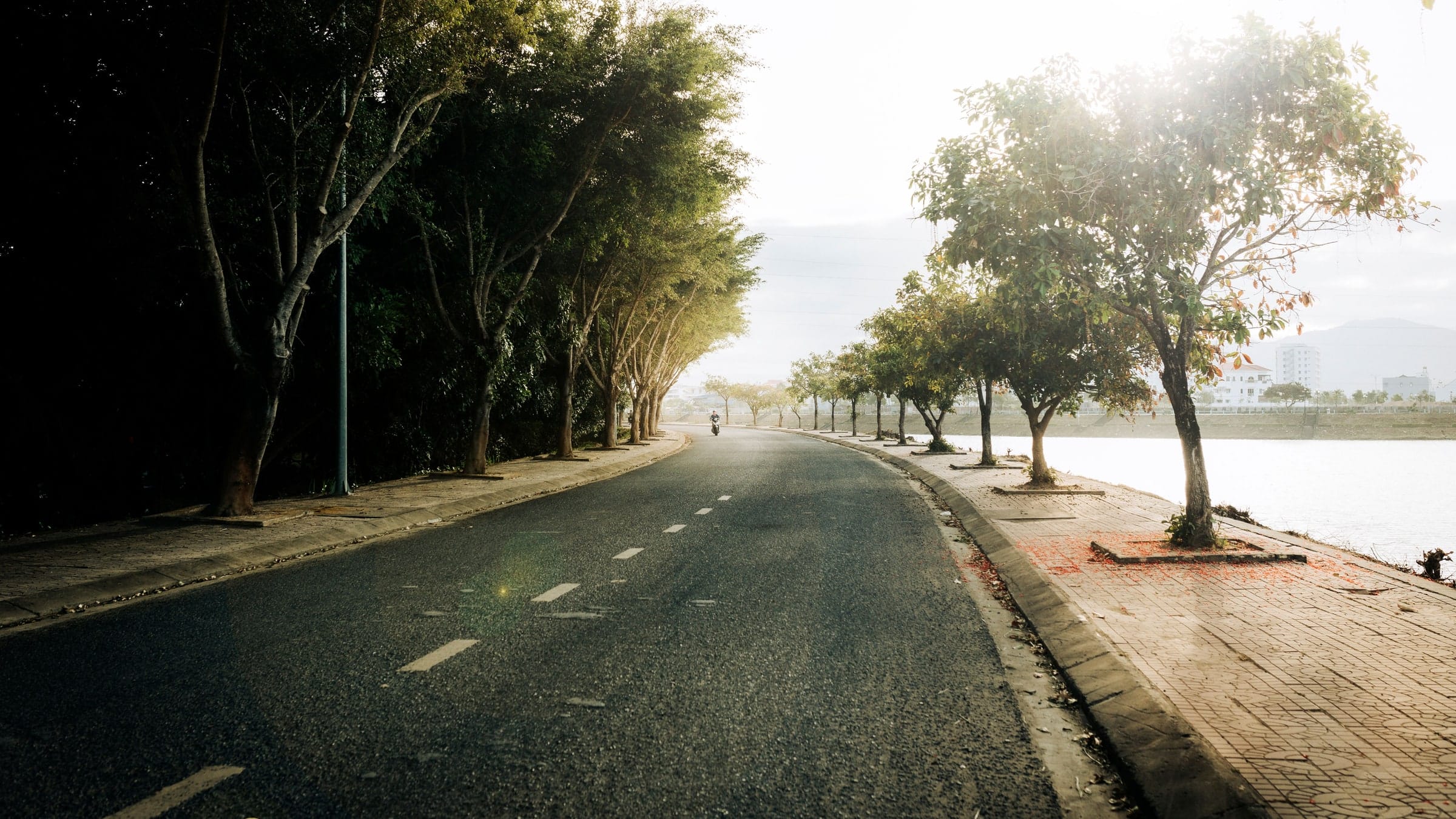 An empty coastal road curving between fynbos and the sea in early morning light